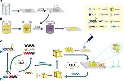 Editorial: Advanced nanobiosensors for non-invasive disease diagnosis